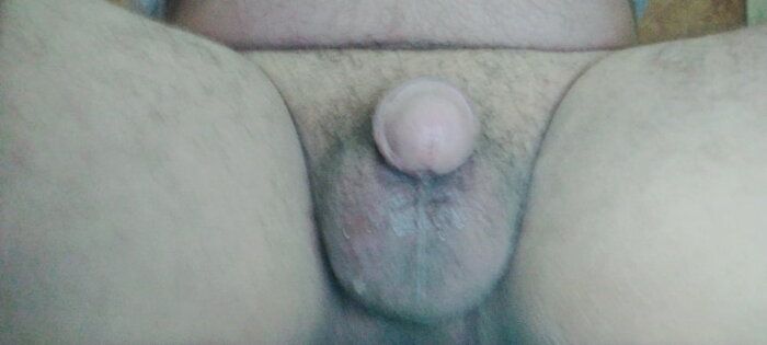 355_1000.jpg
