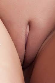 images (3).jpeg