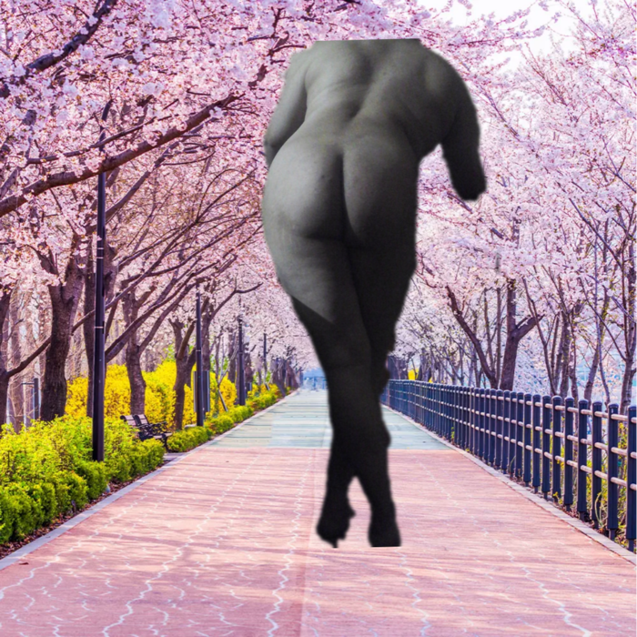 1677869047478.png