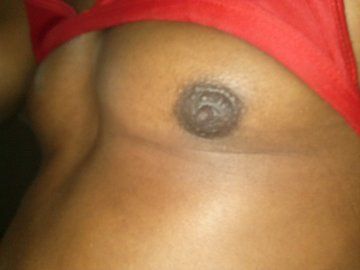 pic_12_thumbl.jpg