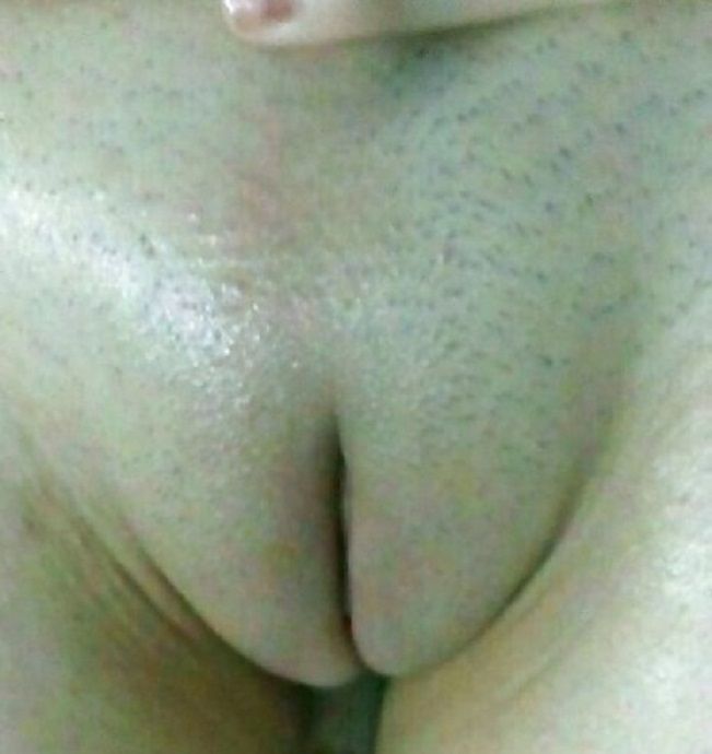 13729