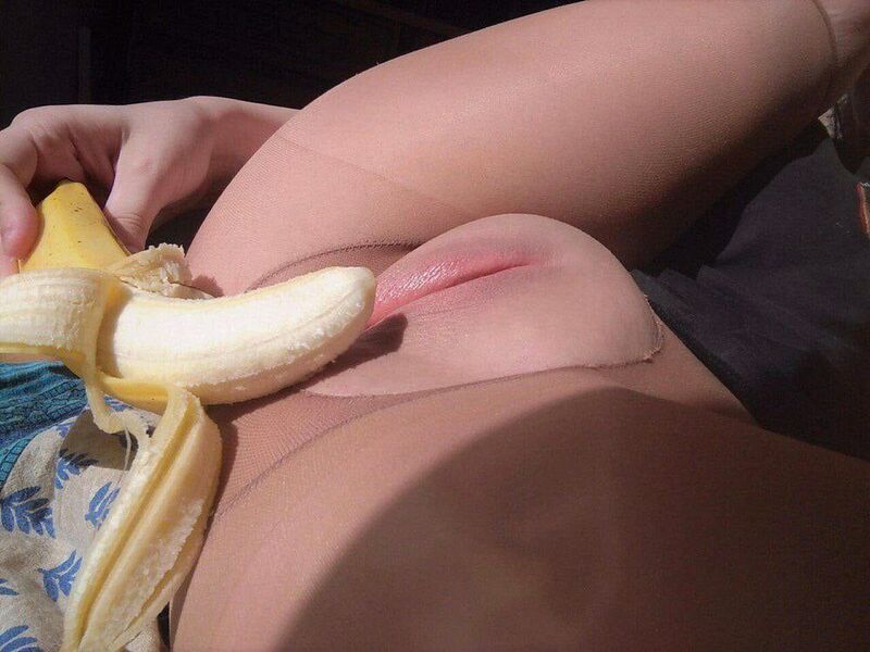 13733