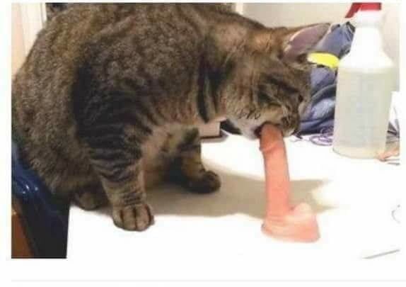 24302