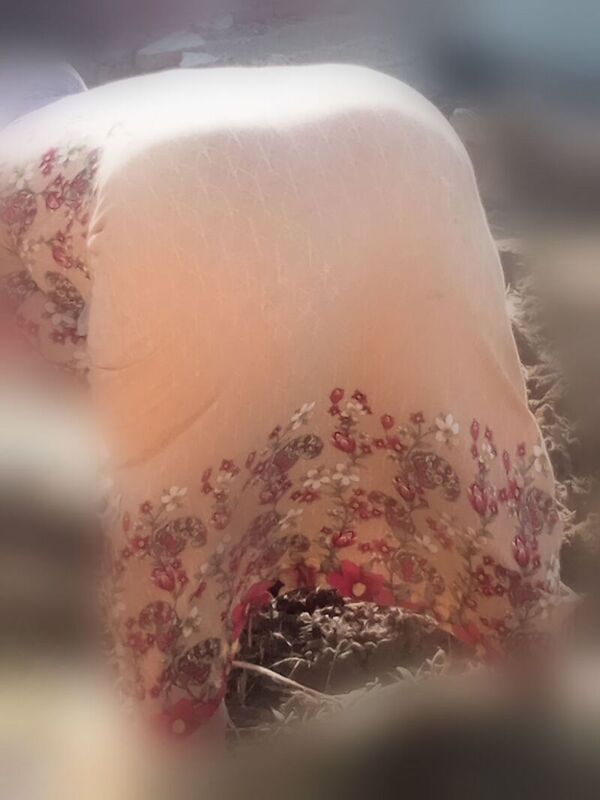 BackgroundBlur_Jun042021_163329.jpg