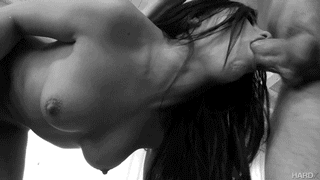 355_1000.gif