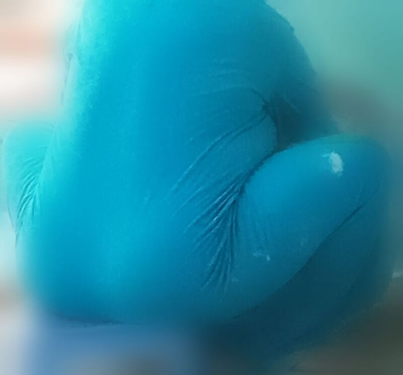 BackgroundBlur_Jul292021_132530.jpg