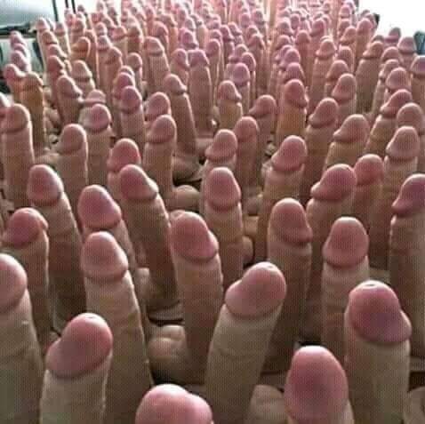 4361