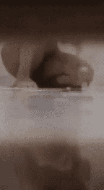 m7arem.mp4_000103566.png