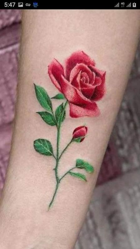 1 (17).jpg