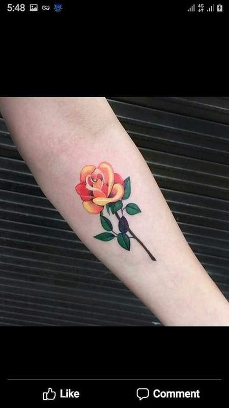 1 (20).jpg
