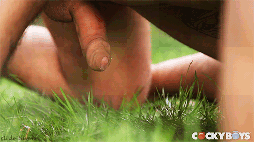 BE9BC12208208.gif