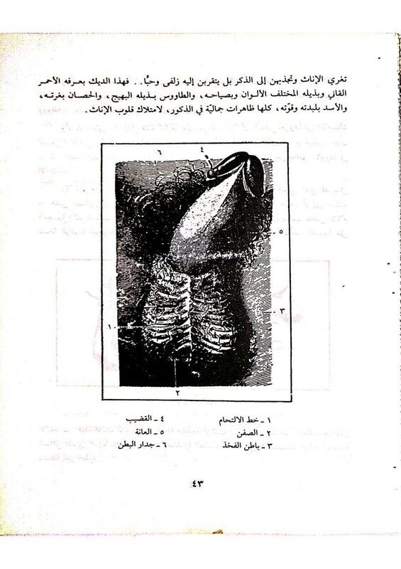 حياتنا ال_الدكتور صبري القباتي_43.jpg