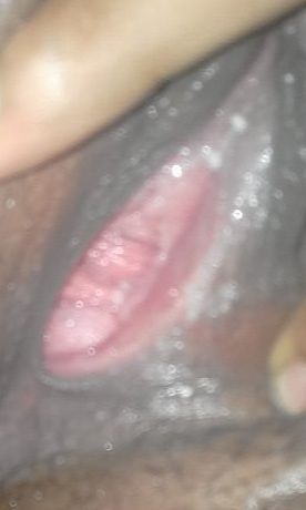 FILE3340.jpg