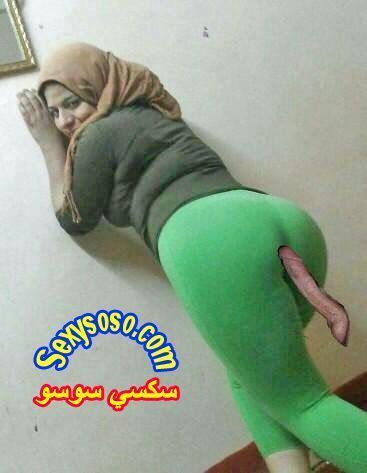 سكس-بالحجاب-عربيات-و-أجانب-3.jpg