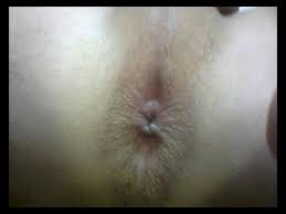images (9).jpeg