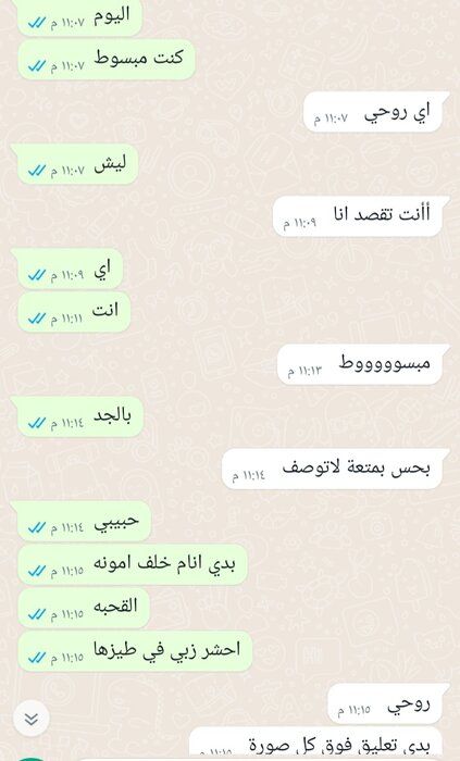 Screenshot_٢٠٢٢٠٢١٧-٠٢٠٢٣٠_WhatsApp.jpg