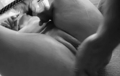 28017.gif