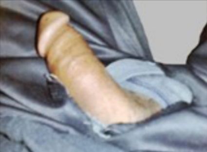 HABi16.jpg