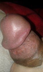 1613510479691-631838259.jpg