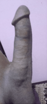 8e9c2fa3-ae69-43b2-af28-d9cbe2c62f56.png