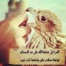 الامبراطور 412333