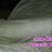 mostafa225