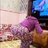 يونس ديوث زوجتي نجلاء