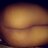 Tota Rool